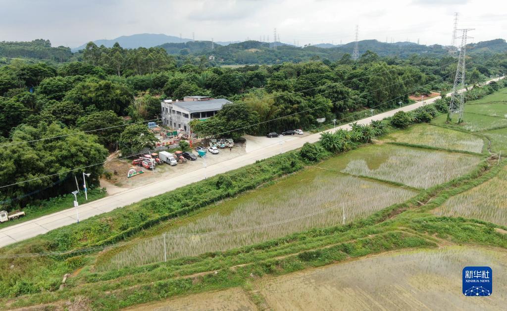 电娱游戏官网